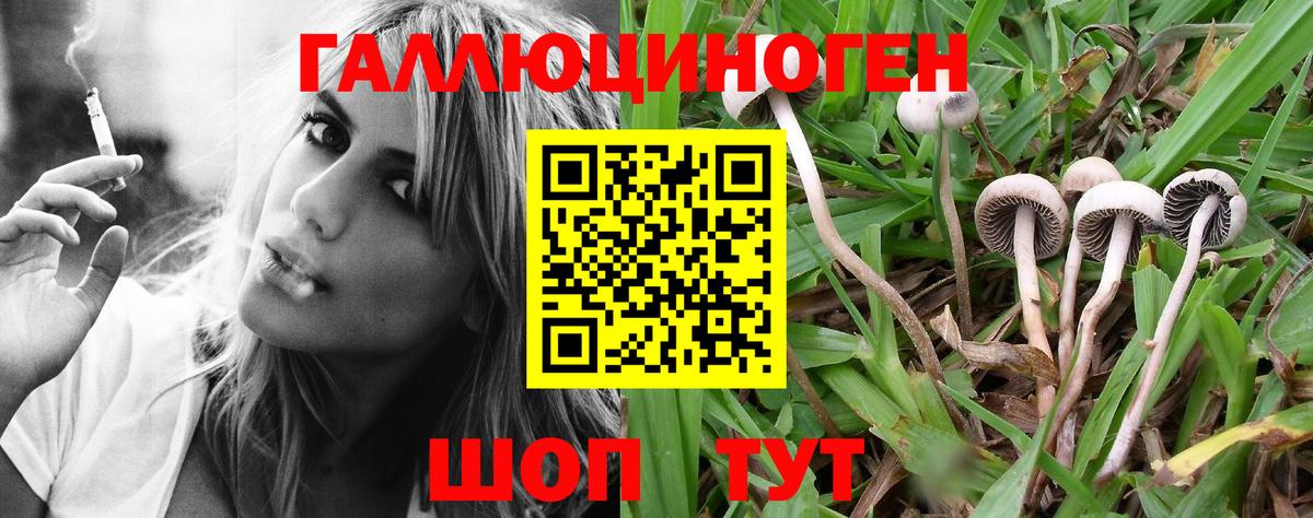 Псилоцибиновые грибы мухоморы Воткинск